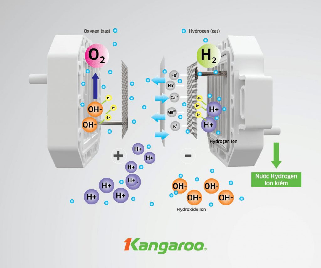 Máy lọc nước Kangaroo Hydrogen ion kiềm KG-Y1MED