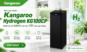 Máy lọc nước Kangaroo KG100CP